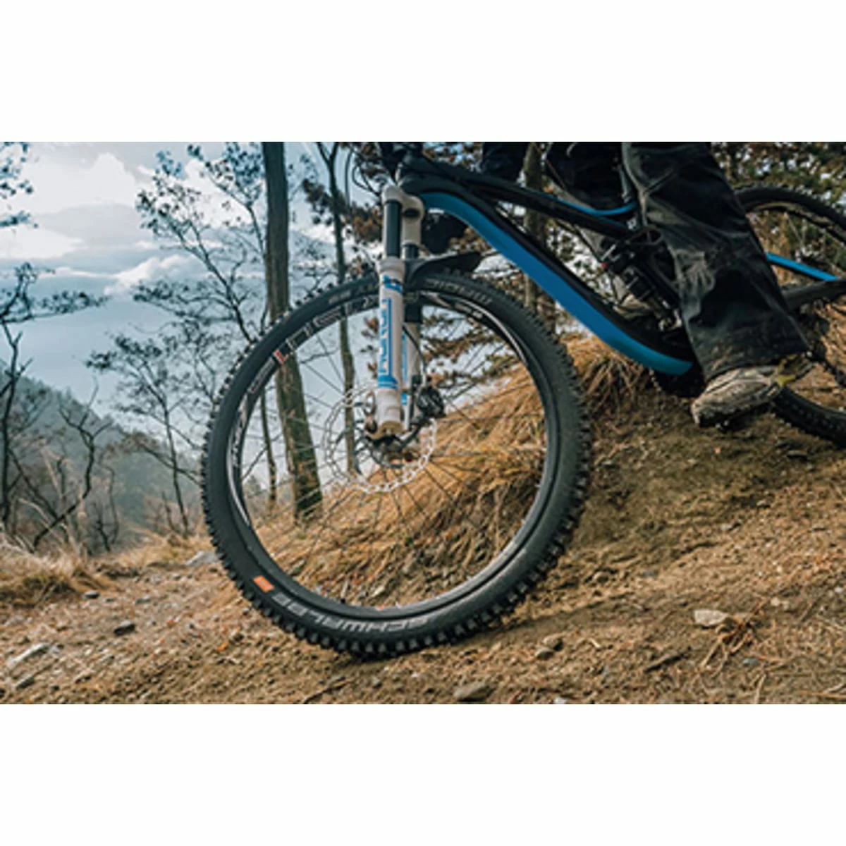 Schwalbe Magic Mary Performance ADDIX Bike Park MTB Clincher Dæk - Billede 2