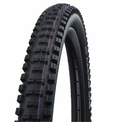 Schwalbe Big Betty Evolution Super Downhill ADDIX Ultra Soft TLE MTB Folding Tyre